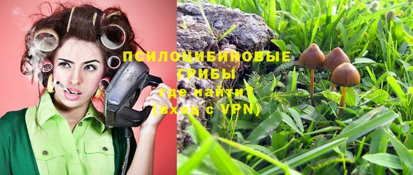 бошки Аркадак