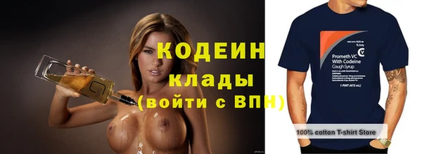 ГАЛЛЮЦИНОГЕННЫЕ ГРИБЫ Грязи