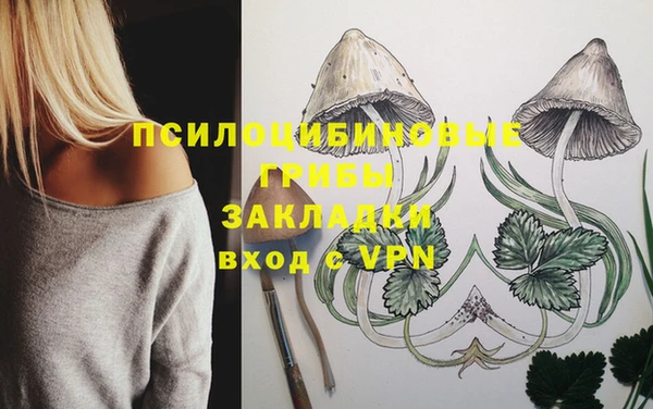 mdpv Баксан