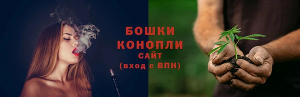 бошки Аркадак
